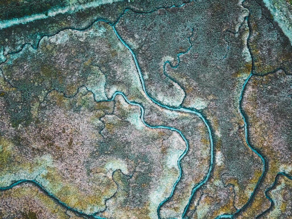natural patterns found in the body